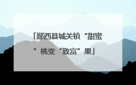 郧西县城关镇“甜蜜”桃变“致富”果