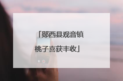 郧西县观音镇桃子喜获丰收