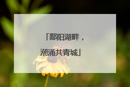 鄱阳湖畔，潮涌共青城
