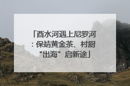 酉水河遇上尼罗河：保靖黄金茶、村厨“出海”启新途