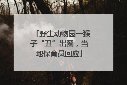 野生动物园一猴子“丑”出圈，当地保育员回应
