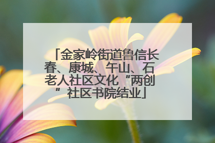 金家岭街道鲁信长春、康城、午山、石老人社区文化“两创”社区书院结业