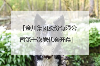 金川集团股份有限公司第十次党代会开幕