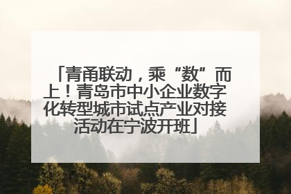 青甬联动，乘“数”而上！青岛市中小企业数字化转型城市试点产业对接活动在宁波开班
