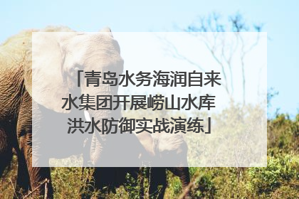 青岛水务海润自来水集团开展崂山水库洪水防御实战演练