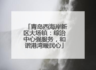 青岛西海岸新区大场镇：综治中心强服务，和谐港湾暖民心