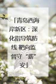 青岛西海岸新区：深化指导筑防线 靶向监督守“薪”安
