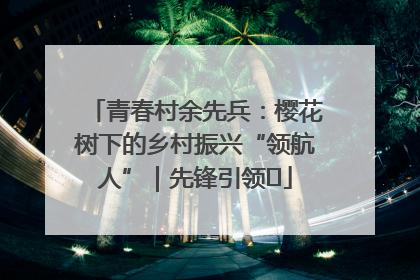 青春村余先兵：樱花树下的乡村振兴“领航人”｜先锋引领⑪