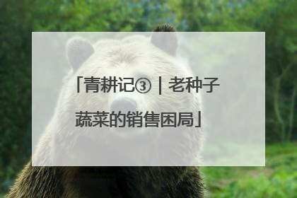 青耕记③｜老种子蔬菜的销售困局