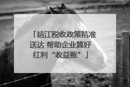 靖江税收政策精准送达 帮助企业算好红利“收益账”