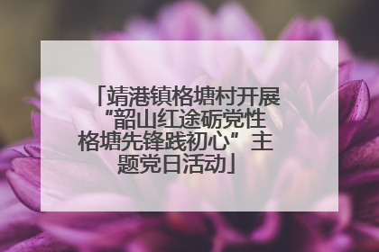 靖港镇格塘村开展“韶山红途砺党性 格塘先锋践初心”主题党日活动