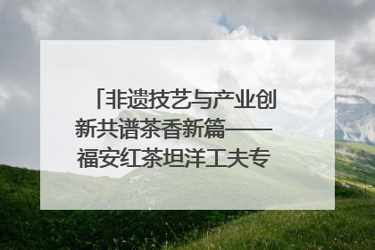 非遗技艺与产业创新共谱茶香新篇——福安红茶坦洋工夫专场推介会在京举办