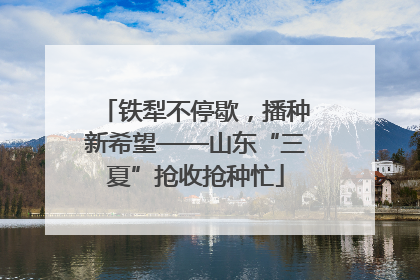 铁犁不停歇，播种新希望——山东“三夏”抢收抢种忙