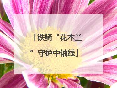 铁骑“花木兰”守护中轴线
