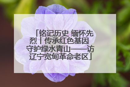铭记历史 缅怀先烈丨传承红色基因 守护绿水青山——访辽宁宽甸革命老区