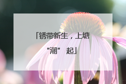锈带新生，上塘 “潮” 起