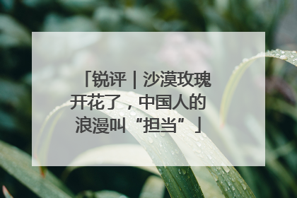 锐评｜沙漠玫瑰开花了，中国人的浪漫叫“担当”