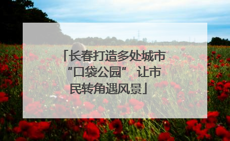 长春打造多处城市“口袋公园” 让市民转角遇风景