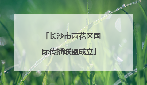 长沙市雨花区国际传播联盟成立