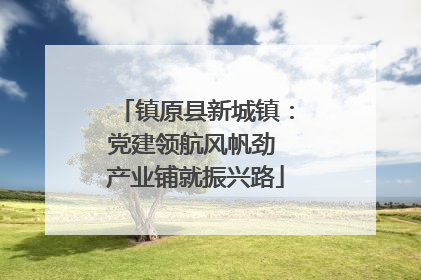 镇原县新城镇：党建领航风帆劲 产业铺就振兴路