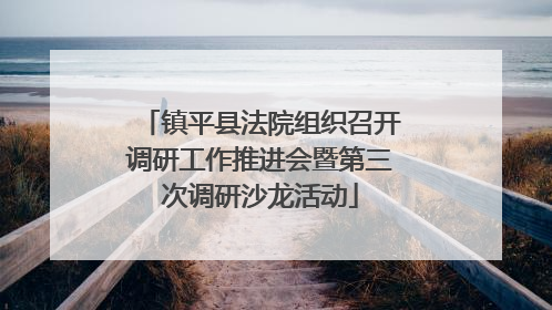 镇平县法院组织召开调研工作推进会暨第三次调研沙龙活动