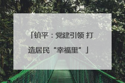 镇平：党建引领 打造居民“幸福里”