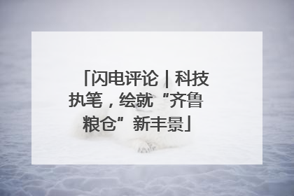 闪电评论｜科技执笔，绘就“齐鲁粮仓”新丰景