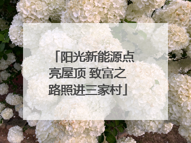 阳光新能源点亮屋顶 致富之路照进三家村