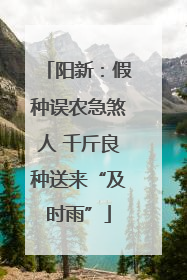 阳新：假种误农急煞人 千斤良种送来“及时雨”