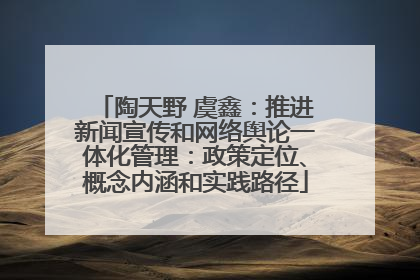陶天野 虞鑫：推进新闻宣传和网络舆论一体化管理：政策定位、概念内涵和实践路径