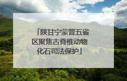 陕甘宁蒙晋五省区聚焦古脊椎动物化石司法保护