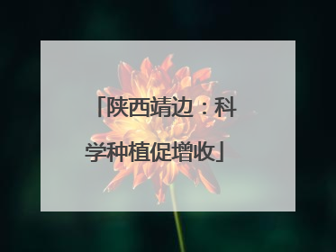 陕西靖边：科学种植促增收