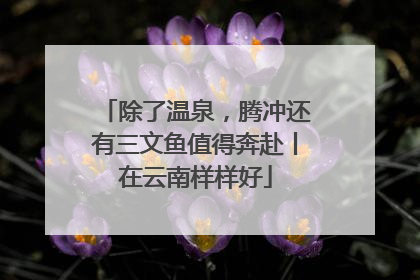 除了温泉，腾冲还有三文鱼值得奔赴丨在云南样样好