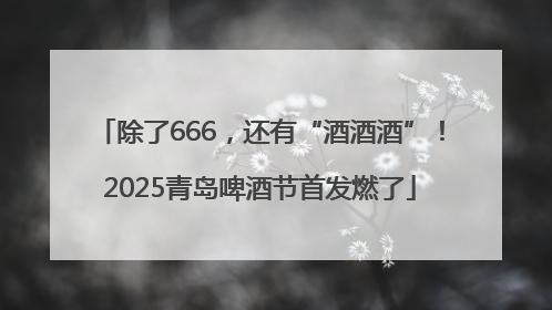 除了666，还有“酒酒酒”！2025青岛啤酒节首发燃了