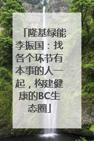隆基绿能李振国：找各个环节有本事的人一起，构建健康的BC生态圈