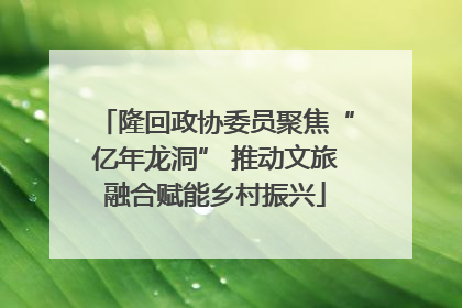 隆回政协委员聚焦“亿年龙洞” 推动文旅融合赋能乡村振兴