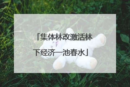 集体林改激活林下经济一池春水
