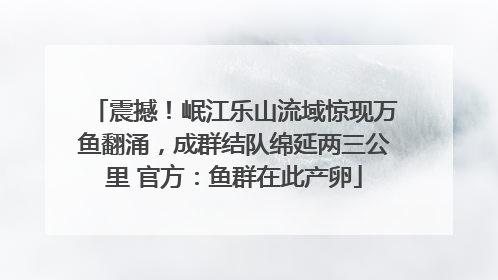 震撼！岷江乐山流域惊现万鱼翻涌，成群结队绵延两三公里 官方：鱼群在此产卵