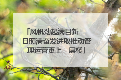 风帆劲起满目新——日照港奋发进取推动管理运营更上一层楼
