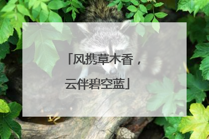 风携草木香，云伴碧空蓝