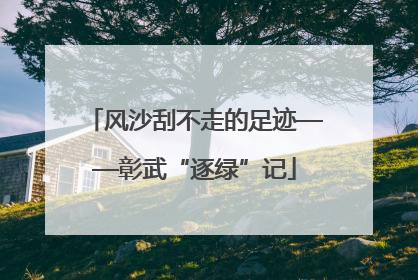 风沙刮不走的足迹——彰武“逐绿”记