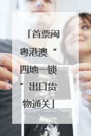 首票闽粤港澳“四地一锁”出口货物通关