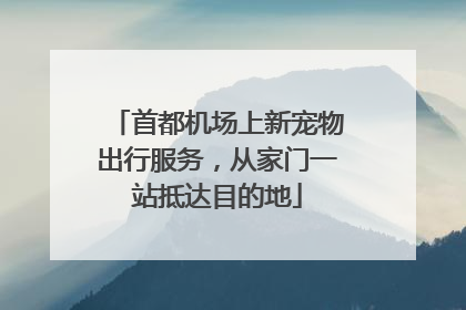 首都机场上新宠物出行服务，从家门一站抵达目的地