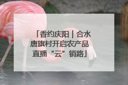香约庆阳｜合水唐旗村开启农产品直播“云”销路