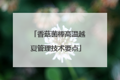 香菇菌棒高温越夏管理技术要点