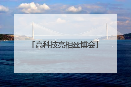 高科技亮相丝博会