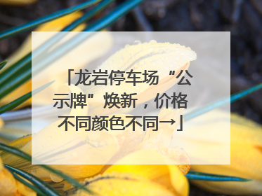 龙岩停车场“公示牌”焕新，价格不同颜色不同→