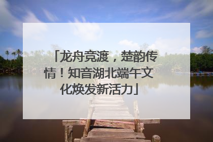 龙舟竞渡，楚韵传情！知音湖北端午文化焕发新活力