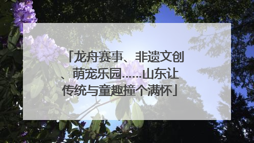 龙舟赛事、非遗文创、萌宠乐园……山东让传统与童趣撞个满怀