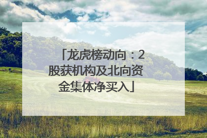 龙虎榜动向：2股获机构及北向资金集体净买入